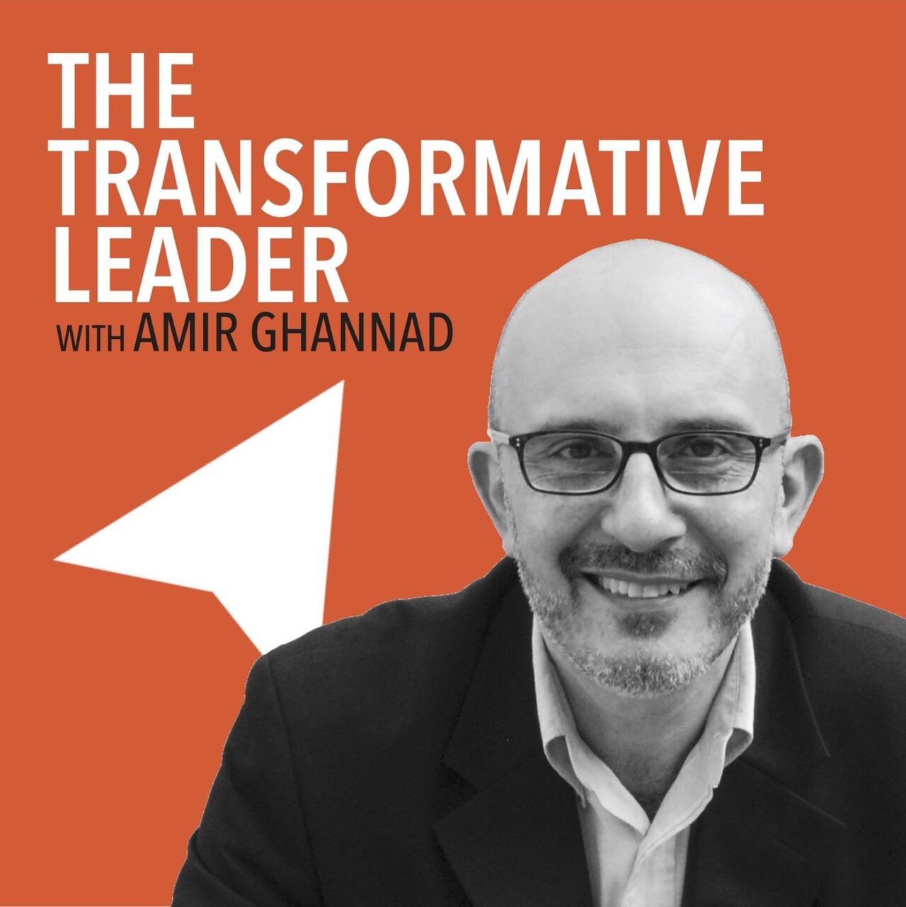 The Transformative Leader Podcast - Ben Marcovitz 